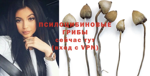 молекула духа Россошь
