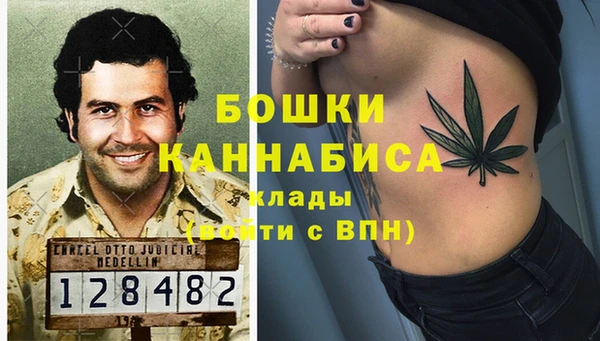 дживик Кинешма