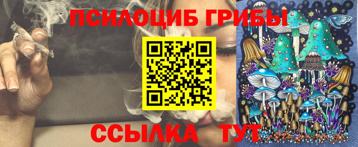 Псилоцибиновые грибы Psilocybine cubensis  Вход с VPN  Красноуфимск  Псилоцибиновые грибы Psilocybine cubensis 
